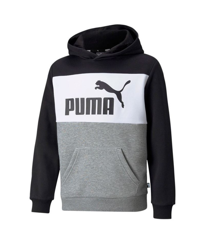 Sweat sweat à capuche Puma ESS+ Colorblock...
