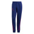 Pantalon long adidas Reverse Winterized Graphic M Blue/Purple