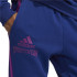 Pantalon long adidas Reverse Winterized Graphic M Blue/Purple