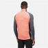 Fleece Regatta Hepley Half-Zip Lightweight M Coral
