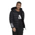 Veste de montagne adidas ItavicH Homme