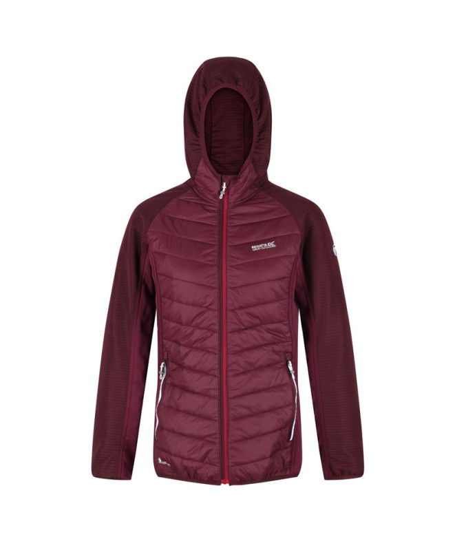 Veste Regatta Andreson VI Hybrid W Rouge foncé