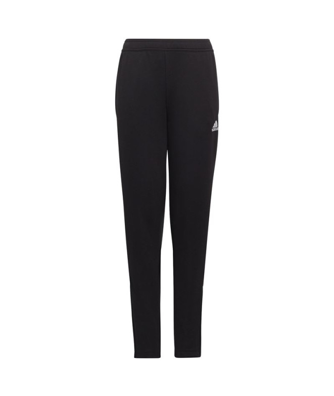 Pantalon de football adidas Ent22 Tr Y Kids...