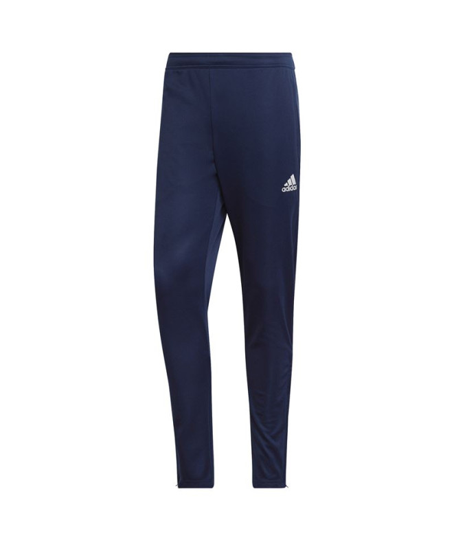 Pantalons de Football adidas Input22 Tr Homme...