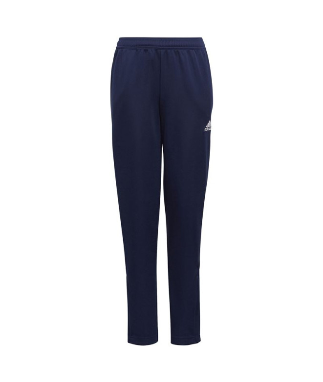 Pantalons de Football adidas Input22 Tr Enfant...