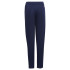 Pantalons de Football adidas Input22 Tr Enfant Tenabl