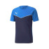 Puma Individualrise Kids Football Shirt