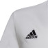 Maillot de football adidas Ent22 et maillot de football pour enfants