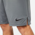 Pantalons Nike Dri-FIT M Gris