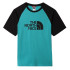T-shirt The North Face Raglan Easy M Vert