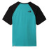 T-shirt The North Face Raglan Easy M Vert