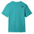 T-shirt The North Face Easy Green