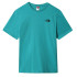 T-shirt The North Face Simple Dome M Vert