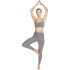 Puma Studio Yogini Luxe Mesh Inset W Gray Fitness Leggings