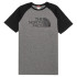 T-shirt The North Face Raglan Easy M Medium Grey