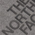 T-shirt The North Face Raglan Easy M Medium Grey