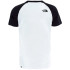 T-shirt The North Face Raglan Easy M Blanc