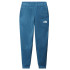 Pantalons par fitness The North Face Mountain Athletics M Bleu