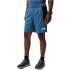 Pantalons short de fitness The North Face Mountain Athletics M Noir