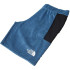 Pantalons short de fitness The North Face Mountain Athletics M Noir
