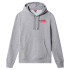 Sweatshirt The North Face Graphic Print M Gray