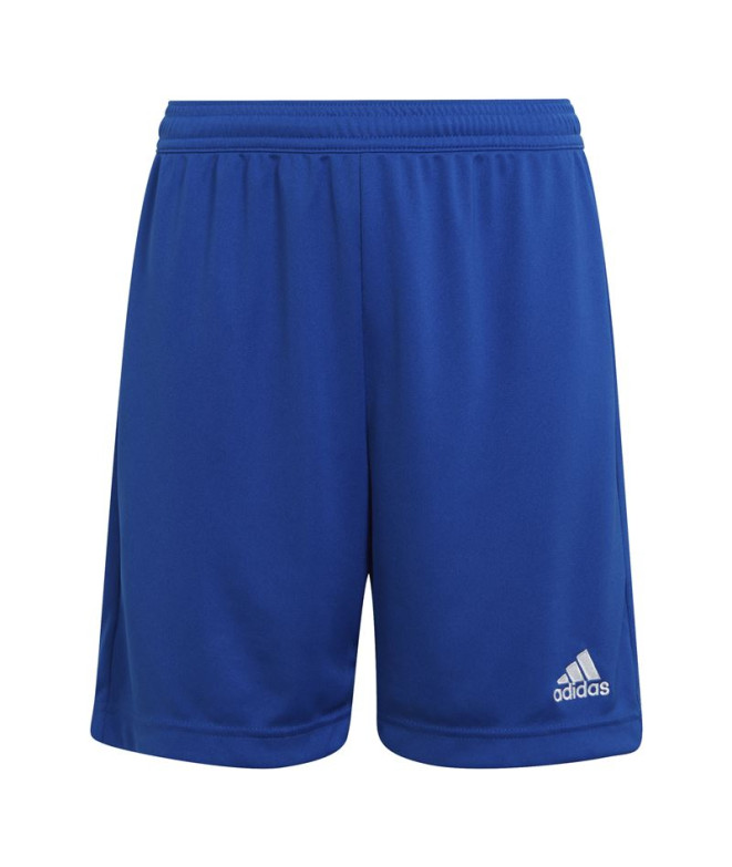 Pantalon de football adidas Ent22 & Kids...