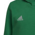 Football Hoodie adidas Entrance 22 Kids Green