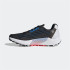 Chaussures Adidas Terrex Agravic Flow 2 Homme BK