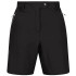 Pantalon d'alpinisme Regatta Femmes BK
