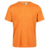 T-shirt Fitness Regatta Fingal Edition Homme OR