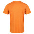T-shirt Fitness Regatta Fingal Edition Homme OR