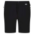Pantalon d'alpinisme II Regatta Homme BK