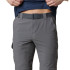 Pantalon convertible Columbia Silver Ridge™ II Gris Hommes