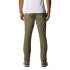 Pantalon Hommes Columbia Triple Canyon™ Vert