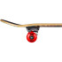 Skate Tony Hawk SS 180 Complet Golden Hawk Bl