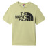 T-shirt The North Face Standard Homme Vert clair