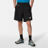 Pantalons The North Face Homme Hydrenaline 2000 Noir