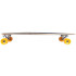 Longboard DStreet Pintail Ocean BL