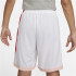 Pantalon de basket Nike Dri-FIT Hommes WH