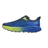 Chaussures Trail HOKA HOKA de Speedgoat 5 Bleu/Vert Homme