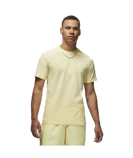 T-shirt Nike Homme Jordan Essentials Flight 23 YW