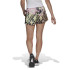 Short adidas FARM Femmes Multi