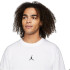 T-shirt Nike Homme Jordan Sport Dri-FIT WH