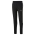 Pantalon Hommes Puma Evostripe BK