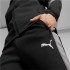 Pantalon Hommes Puma Evostripe BK