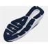 Chaussures Under Armour Poursuite judiciaire 3