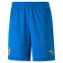 Puma VCF 3rd Team Replica Trousers Hommes Bleu
