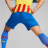 Puma VCF 3rd Team Replica Trousers Hommes Bleu