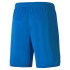 Puma VCF 3rd Team Replica Trousers Hommes Bleu