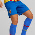 Puma VCF 3rd Team Replica Trousers Hommes Bleu